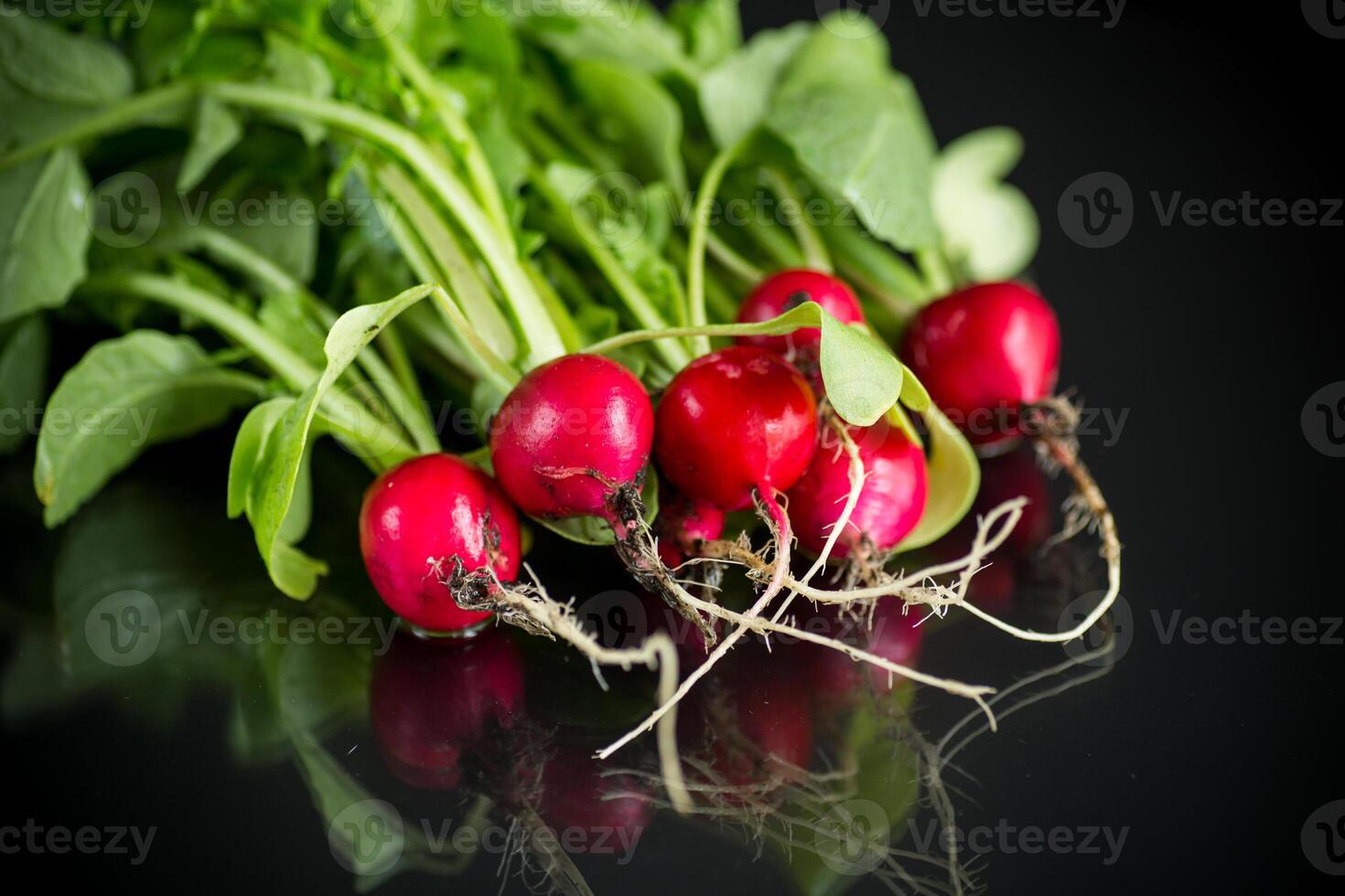 fresh natural organic ripe radish on black background photo