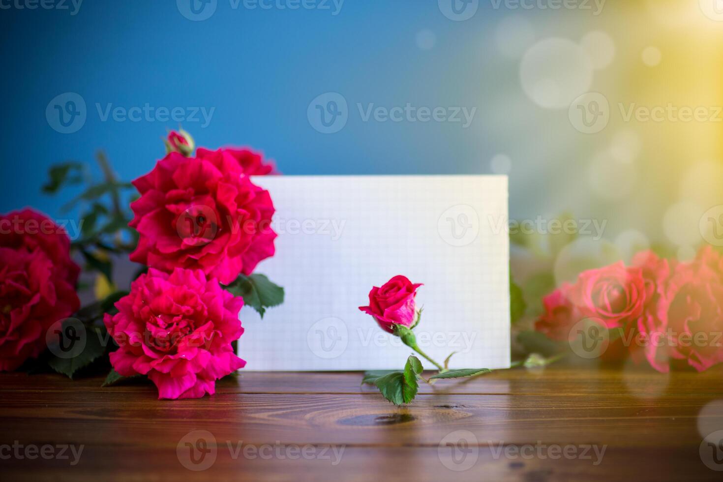 bouquet of beautiful red roses on blue photo