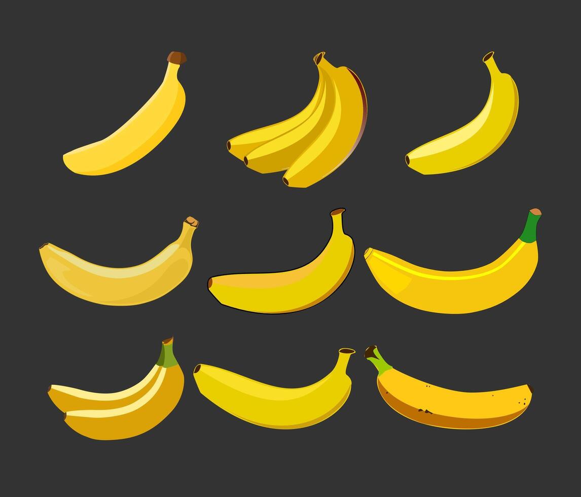 vibrante plátano recopilación. un conjunto de bananas para sano comiendo. un encantador agrupamiento de bananas tropical fruta. plátano ilustración recopilación. vector