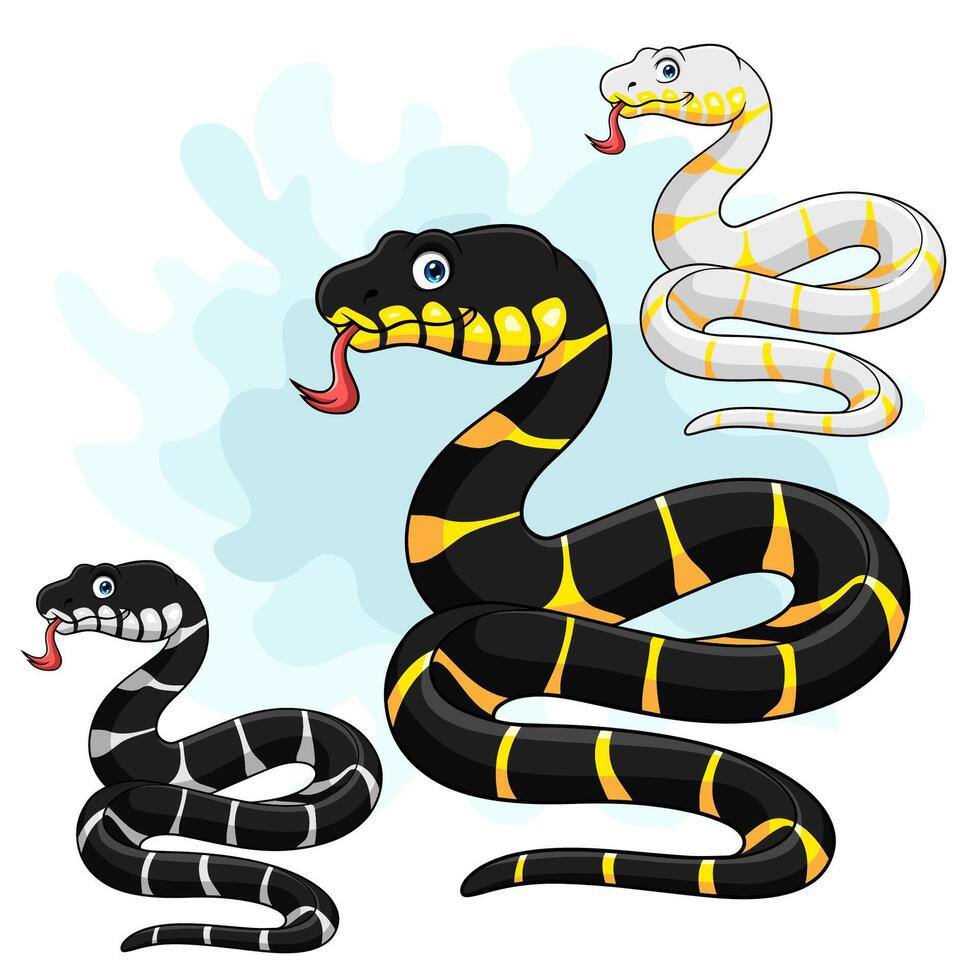 Cartoon mangrove snake collection set vector