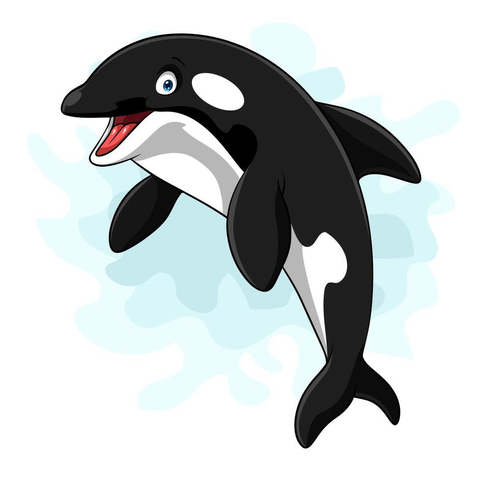 orca de dibujos animados aislado sobre fondo blanco vector