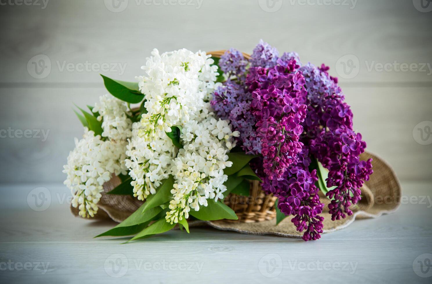 Bouquet of beautiful spring lilacs of different colors photo