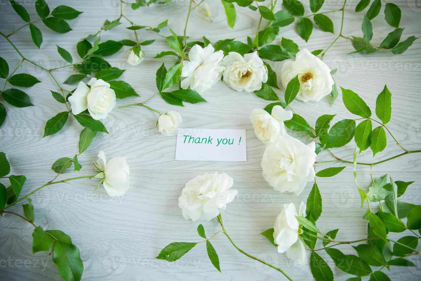 background of many white roses on a light wooden photo