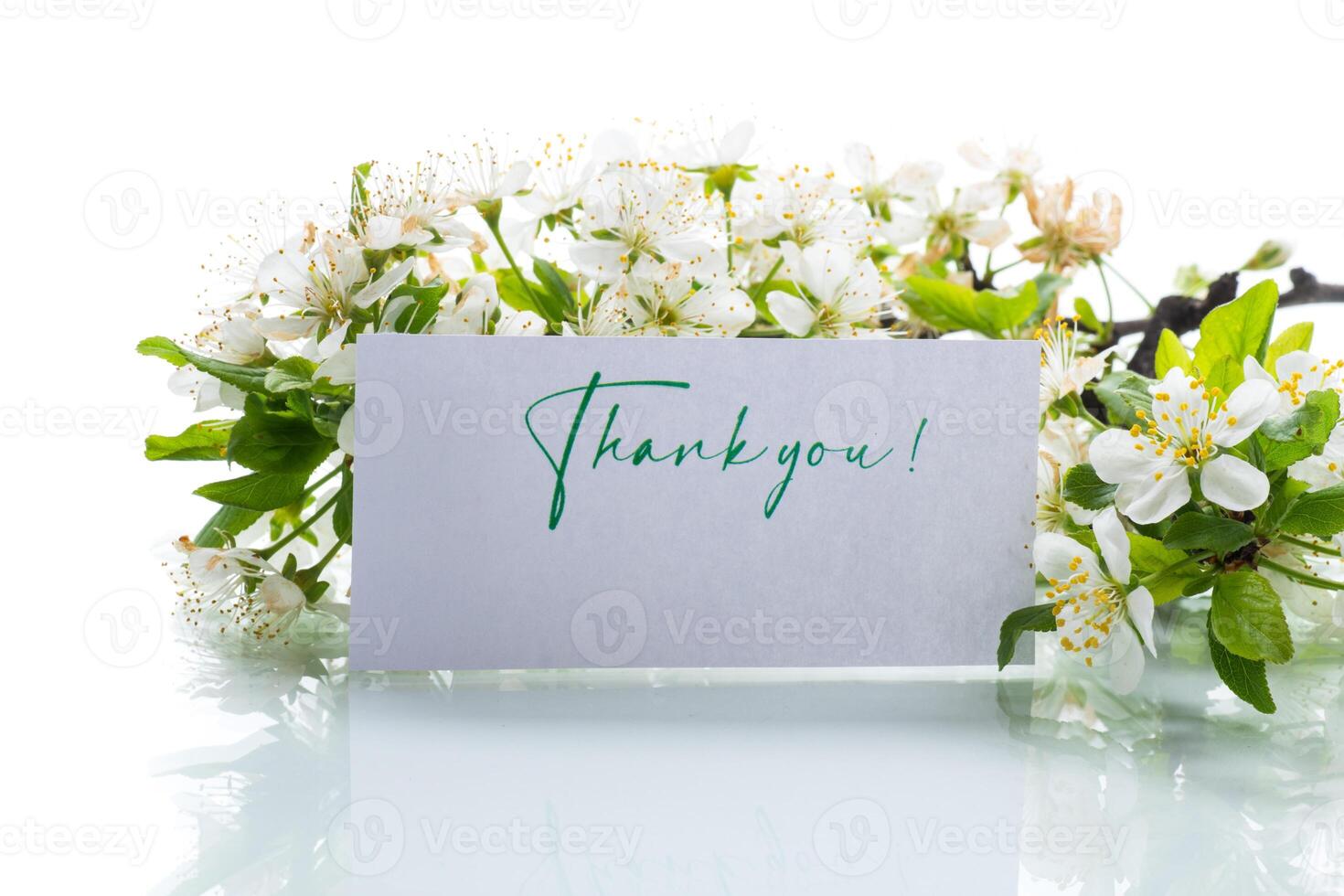 thank you card and blooming spring branch with flowers photo