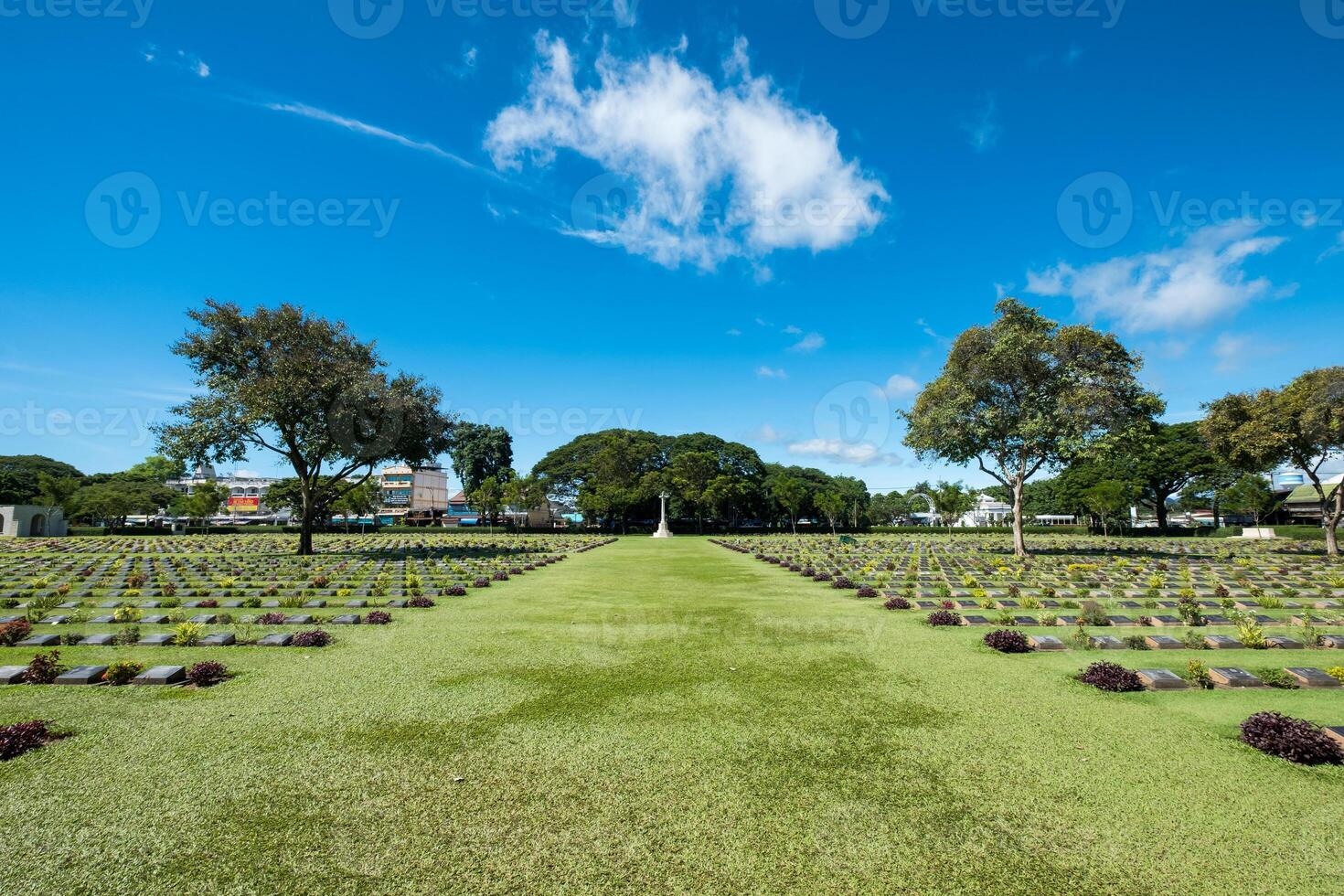 Cemetery gravestone christian vitmics with tree history of world war II photo