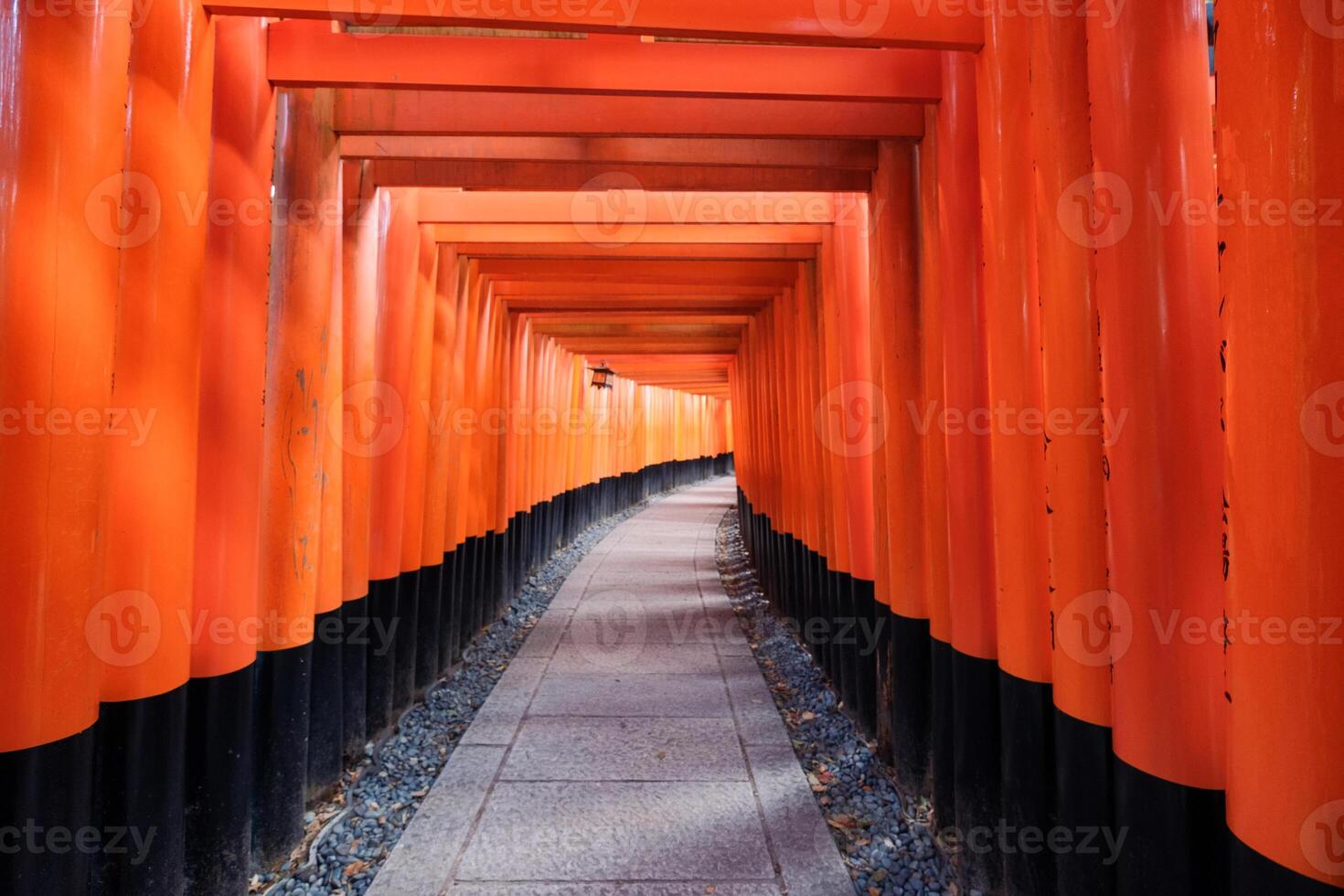 Ancient wood torii gate landmark of Fushimi Inari photo