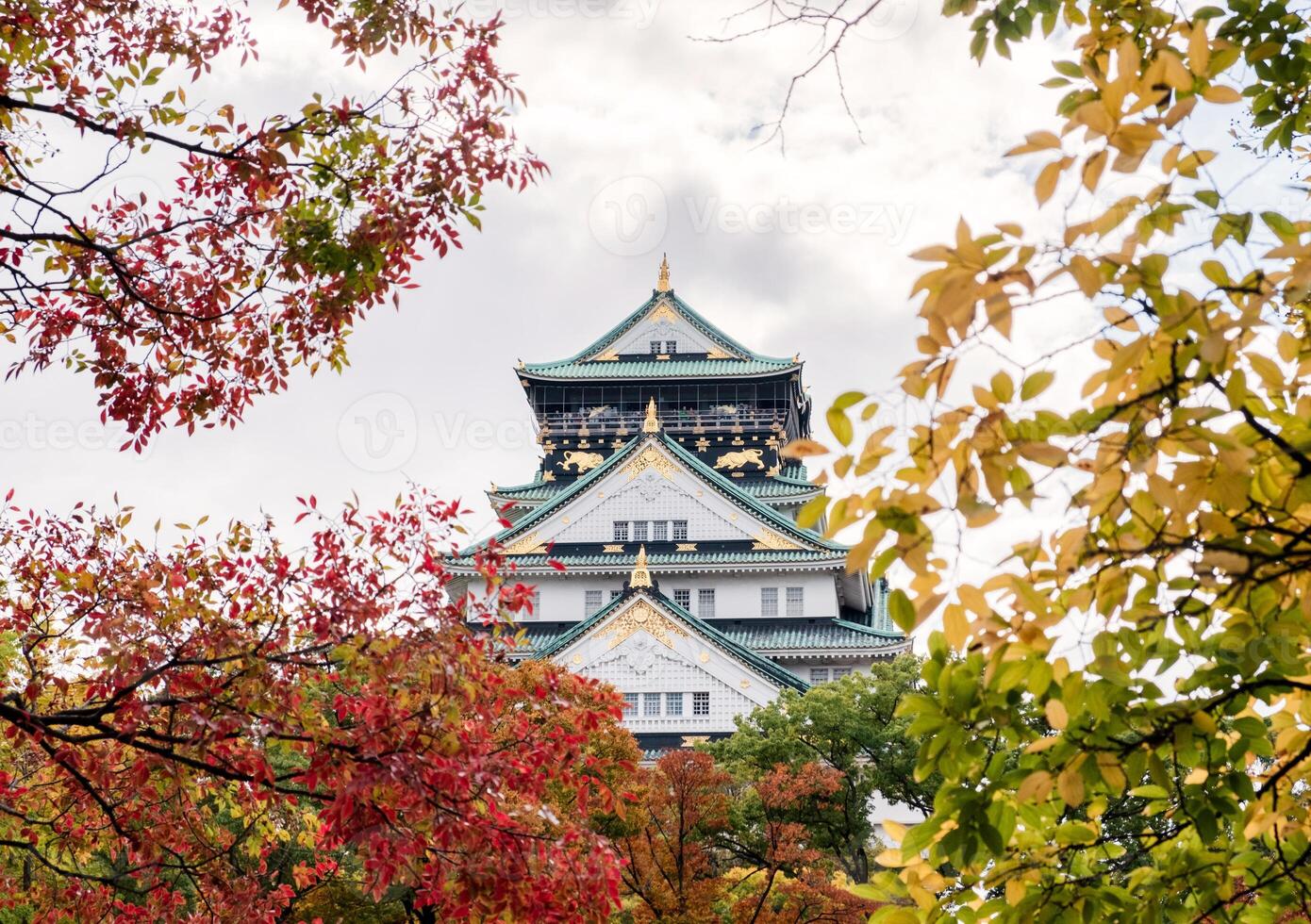 Osaka castle in autumn leaves garden photo