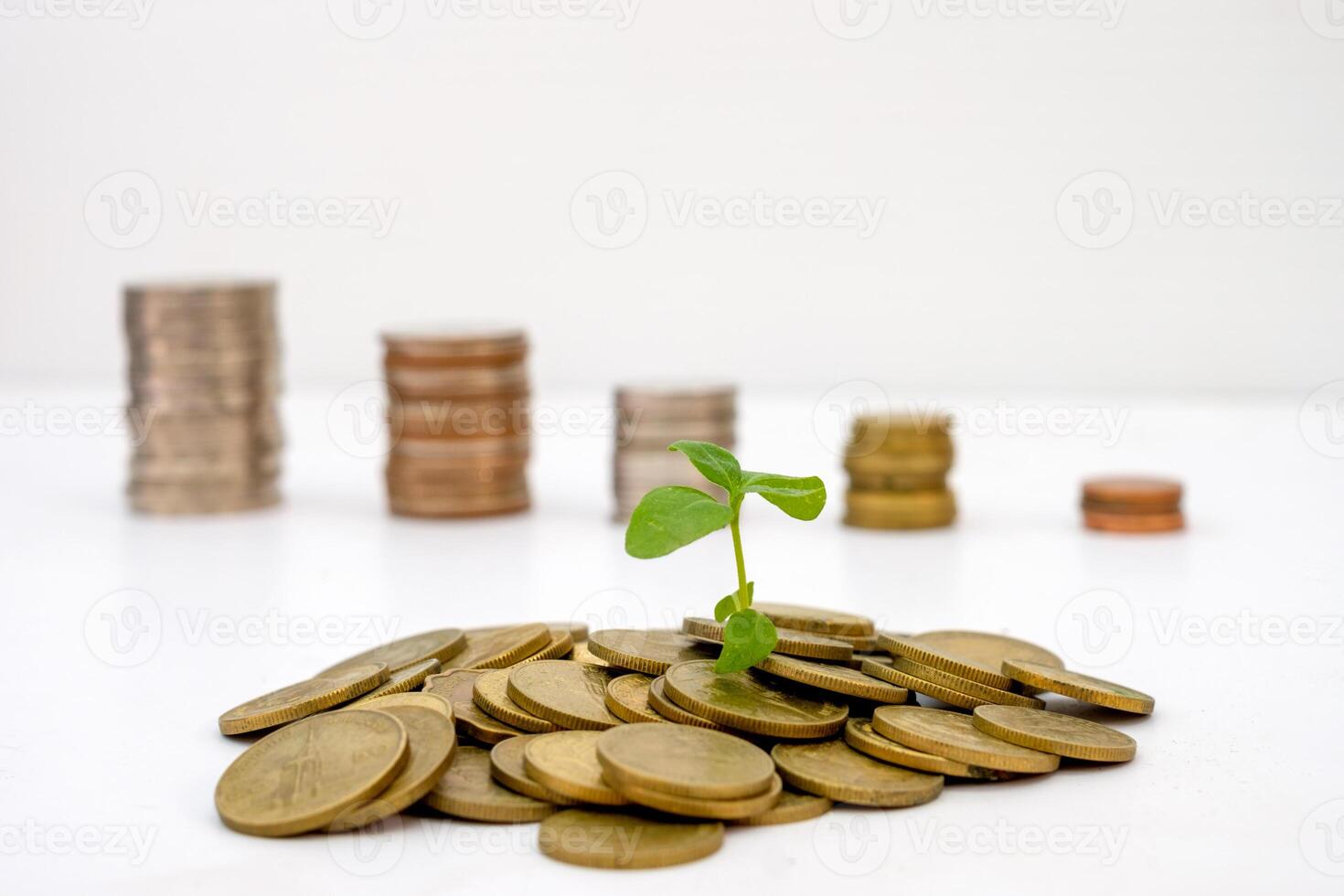 Sprout growing on pile gold coins with blurred coins decrease photo