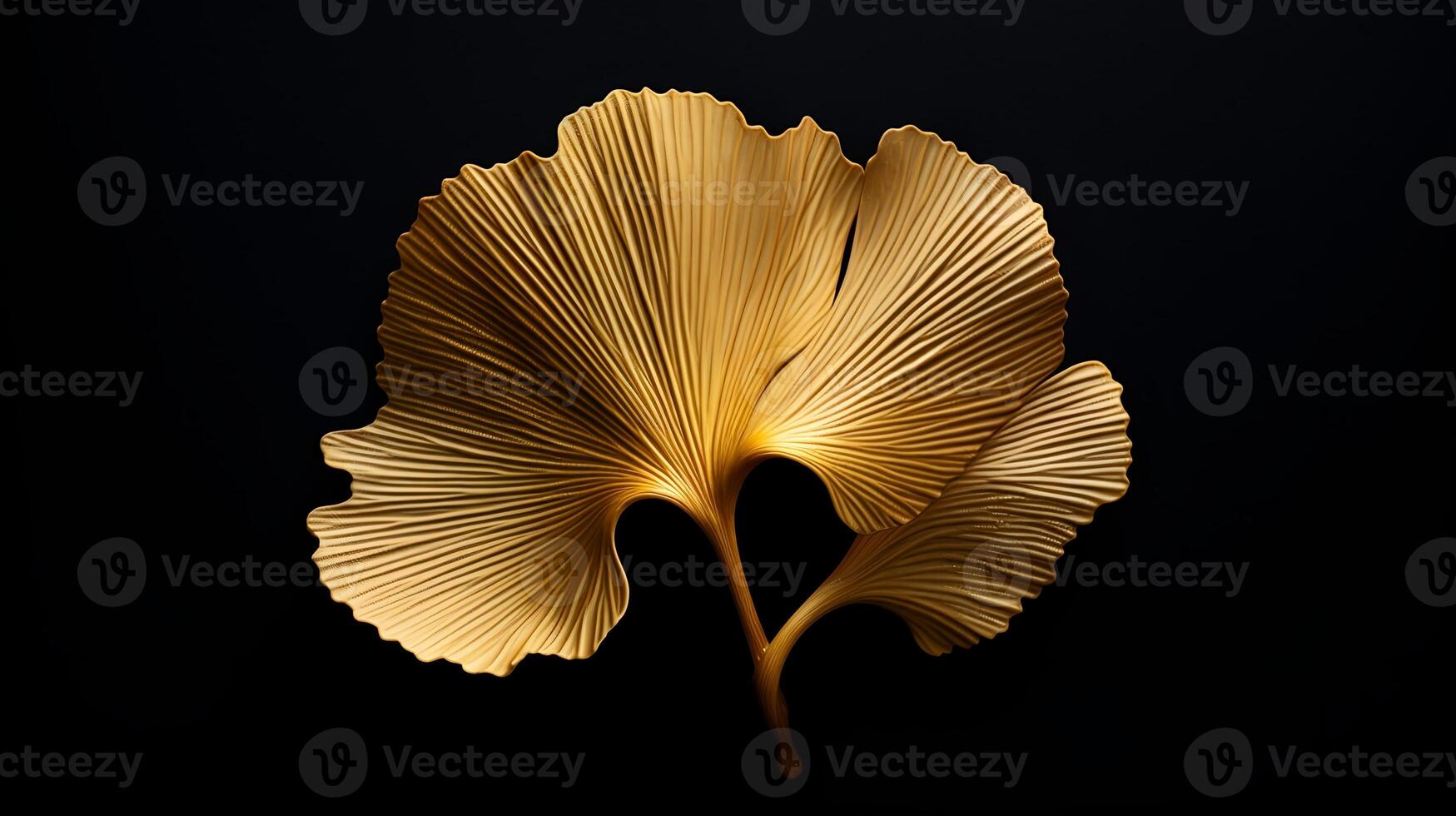 AI generated Gingko Biloba Gold Leaf Isolated On Black Background photo