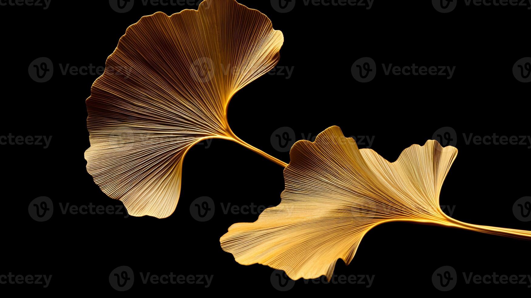 AI generated Gingko Biloba Gold Leaf Isolated On Black Background photo