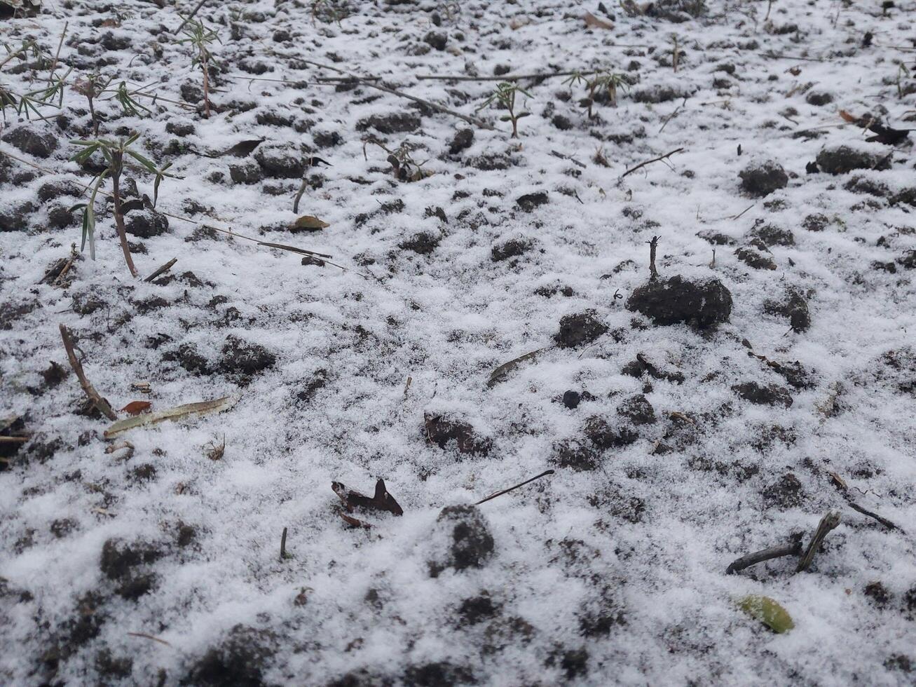 Texture of fallen snow on objects photo