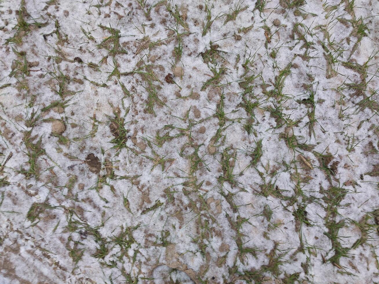 Snow fell on an agricultural field photo