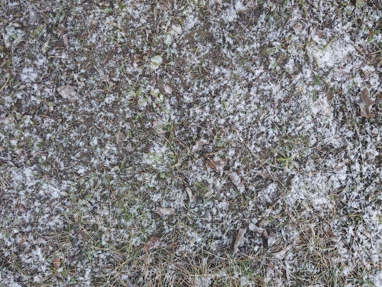 Texture of fallen snow on objects photo