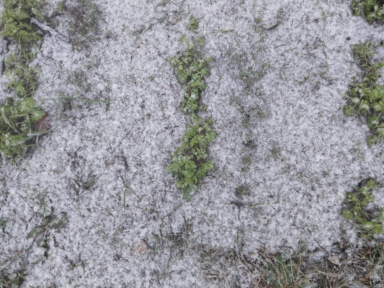 Texture of fallen snow on objects photo