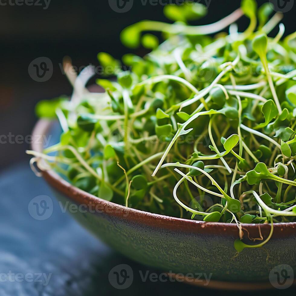 AI generated Close-up of arugula sprouts on a dark background. AI generated. photo