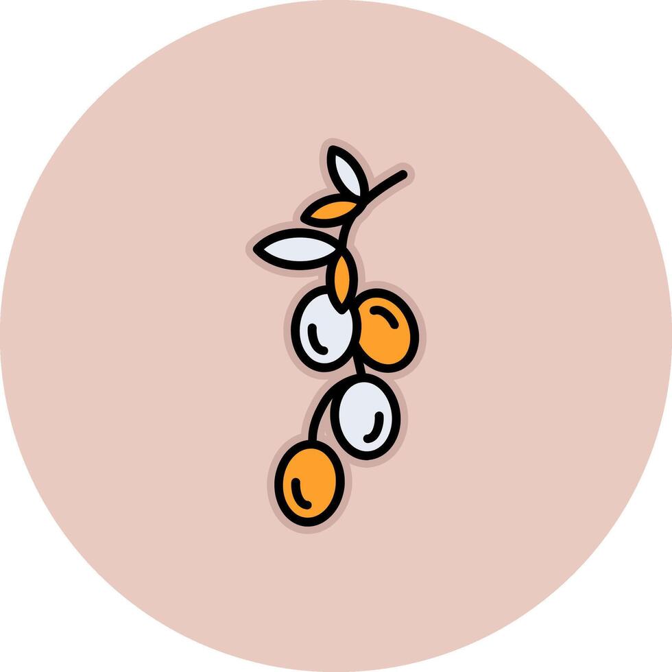 aceituna vector icono