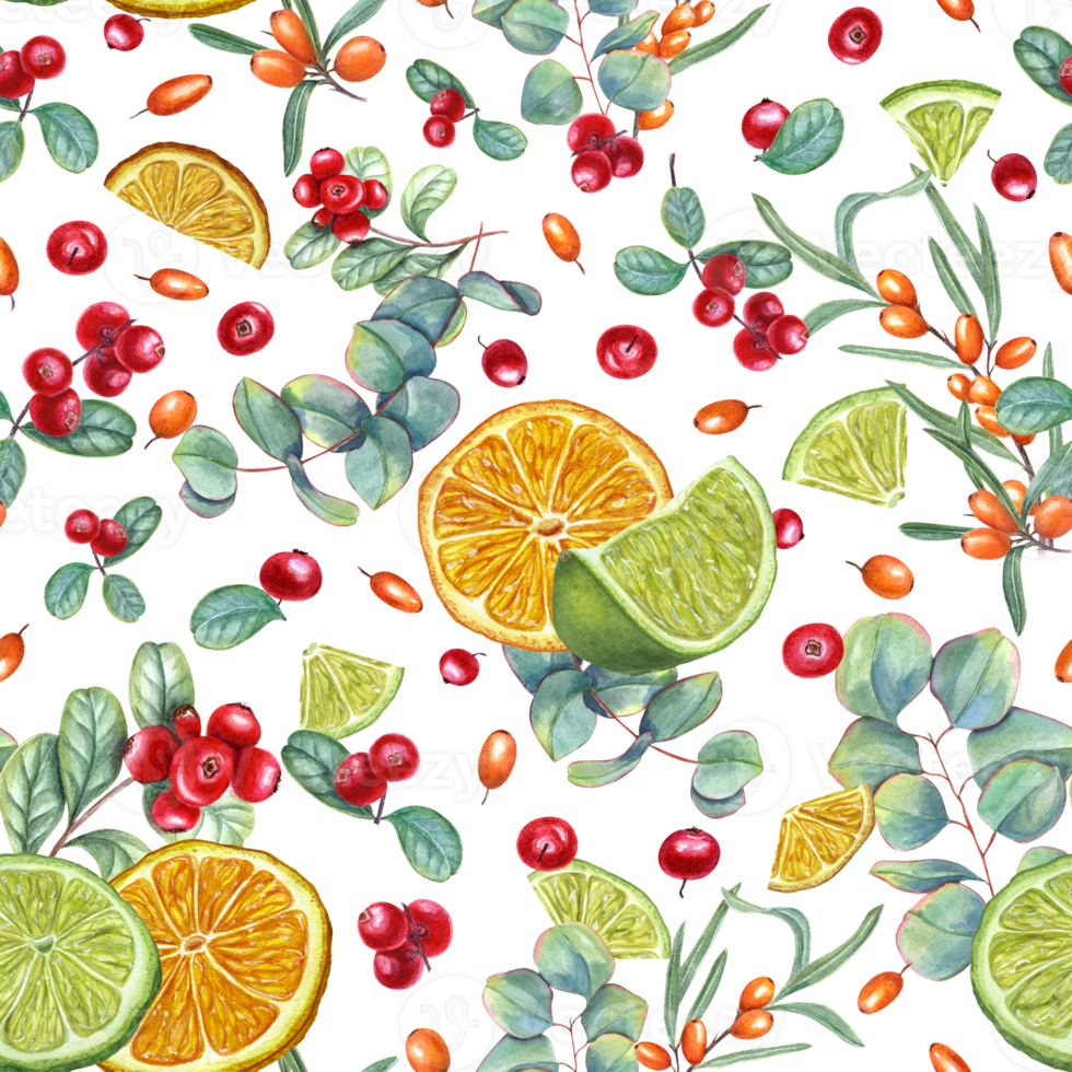 Bright seamless pattern with berries and fruits. Lime, orange slices, sea buckthorn, lingonberry, eucalyptus branch. Watercolor illustration for wrapping, poster, cosmetic design png