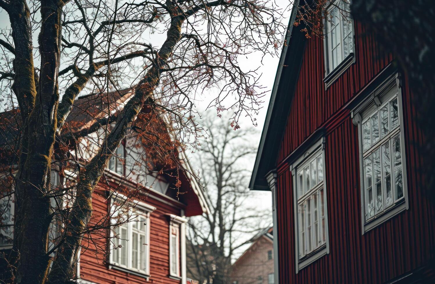 AI generated two buildings with red siding and white details photo