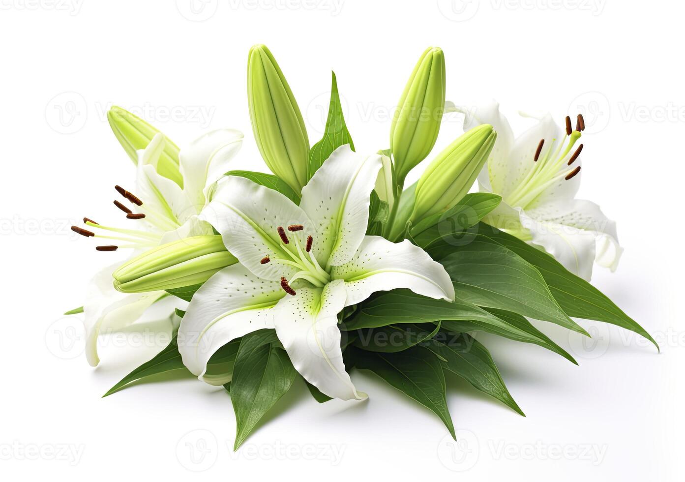 AI generated Beautiful fresh lily flower with green leaves, isolated on white background. AI Generated photo