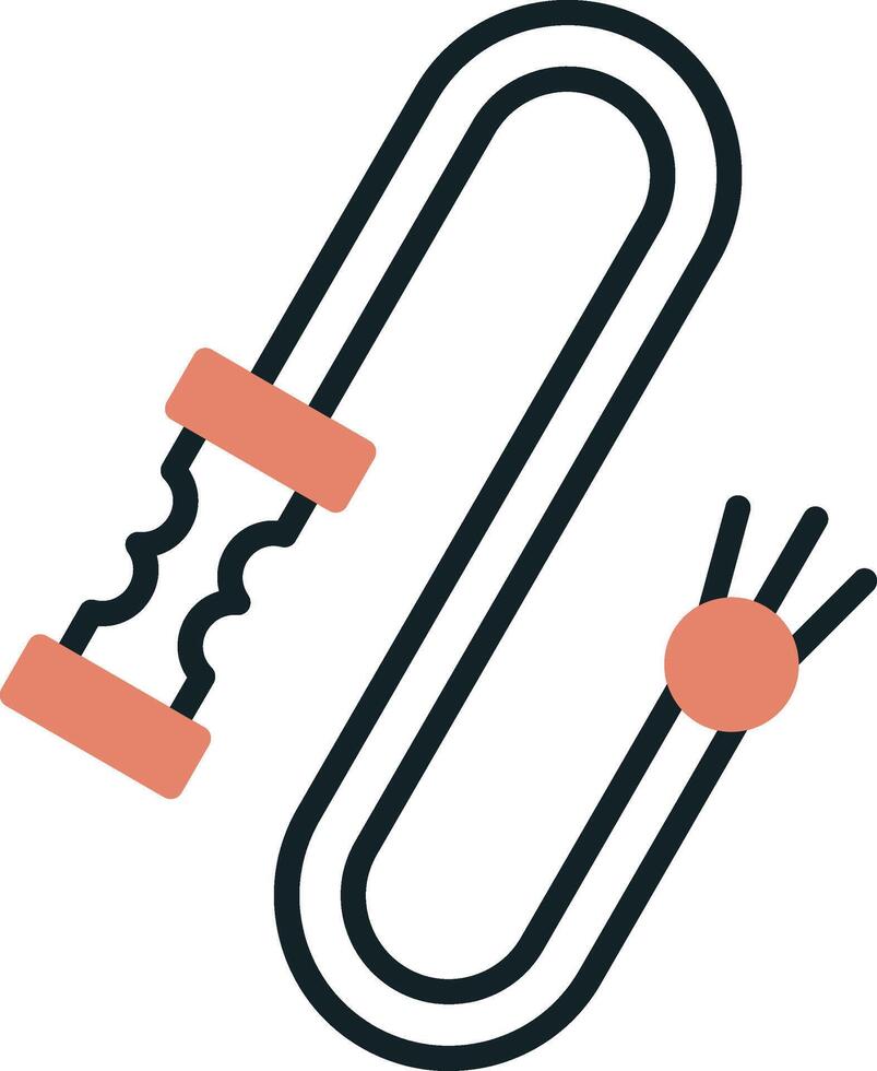 Whip Vector Icon