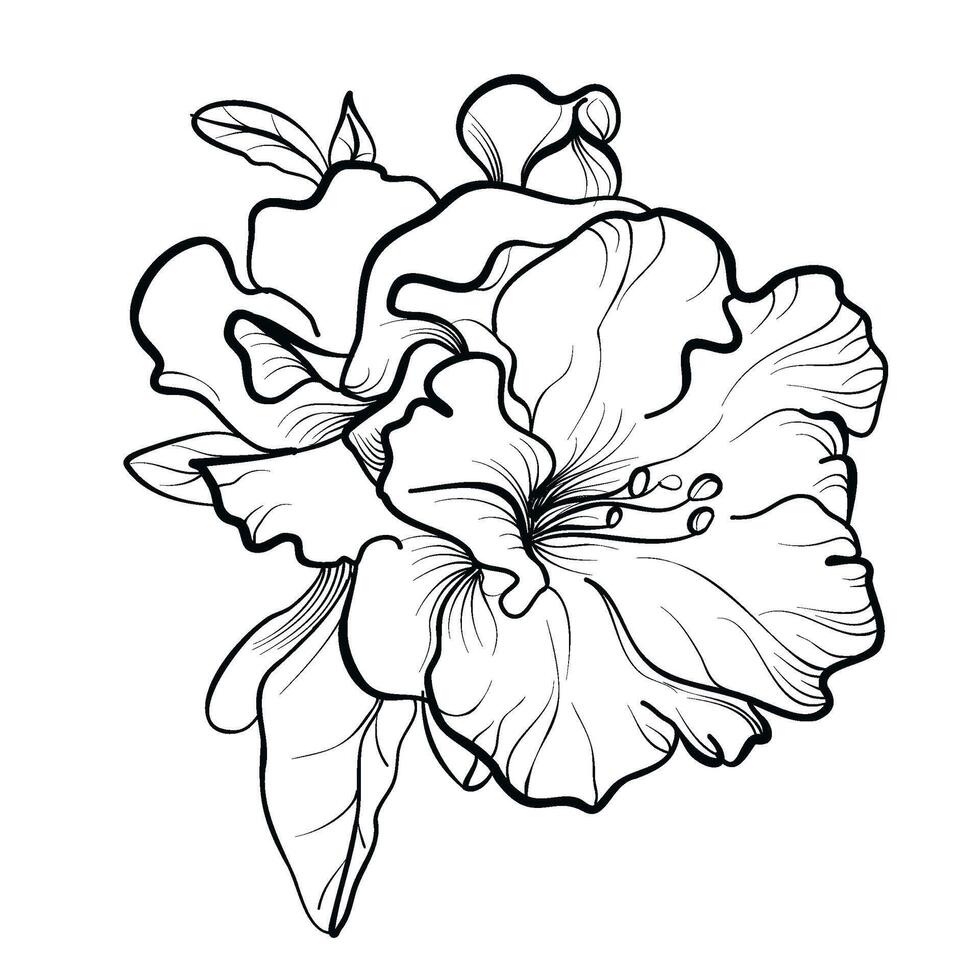 black and white hand-drawn azalea flower vector illustration