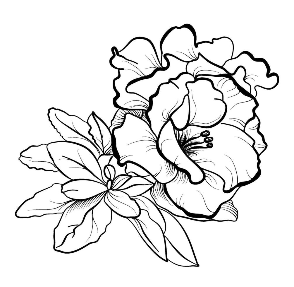 mano dibujo de un ramo de flores de azalea flores vector ilustración