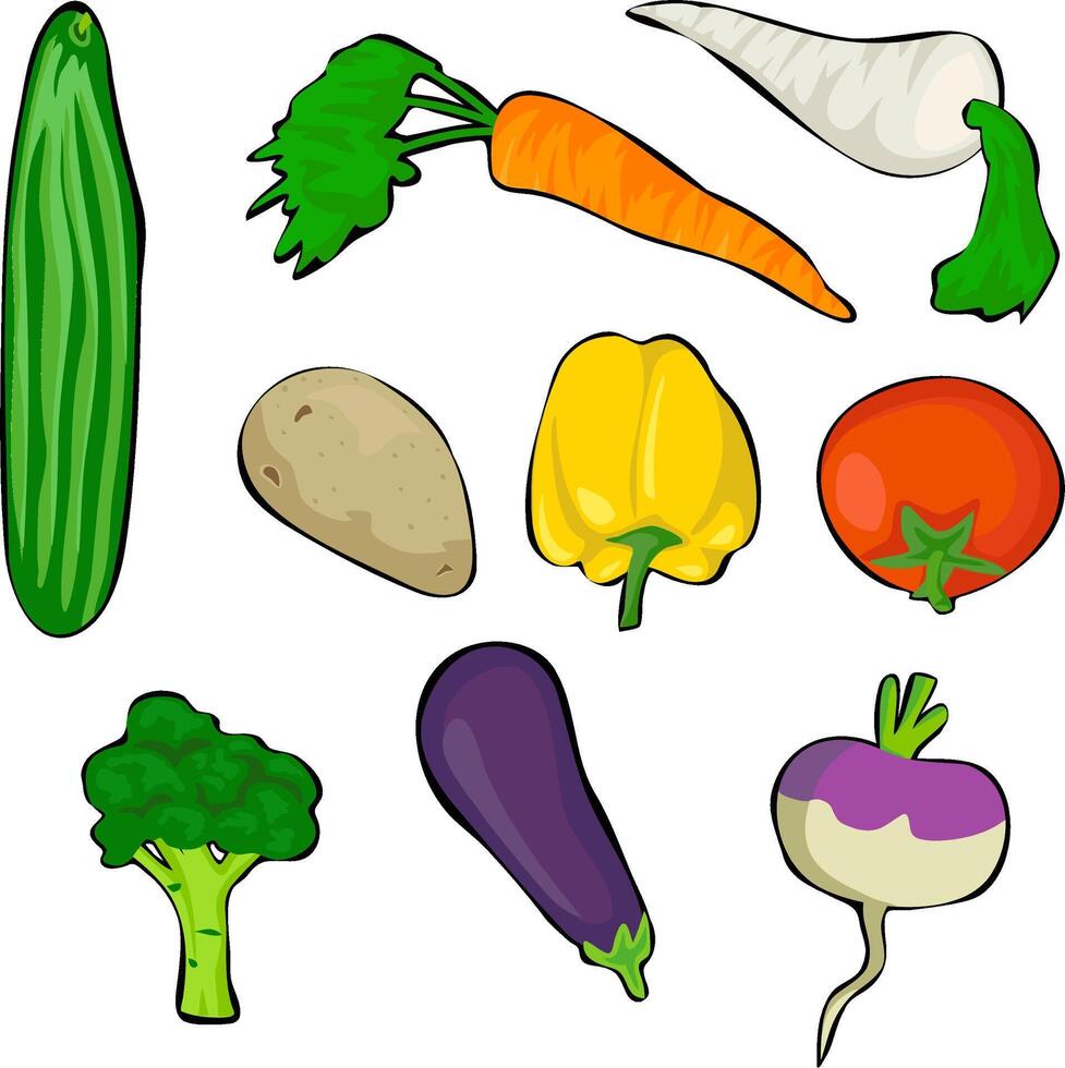 Vegetables collection on white background. Vector illustration.