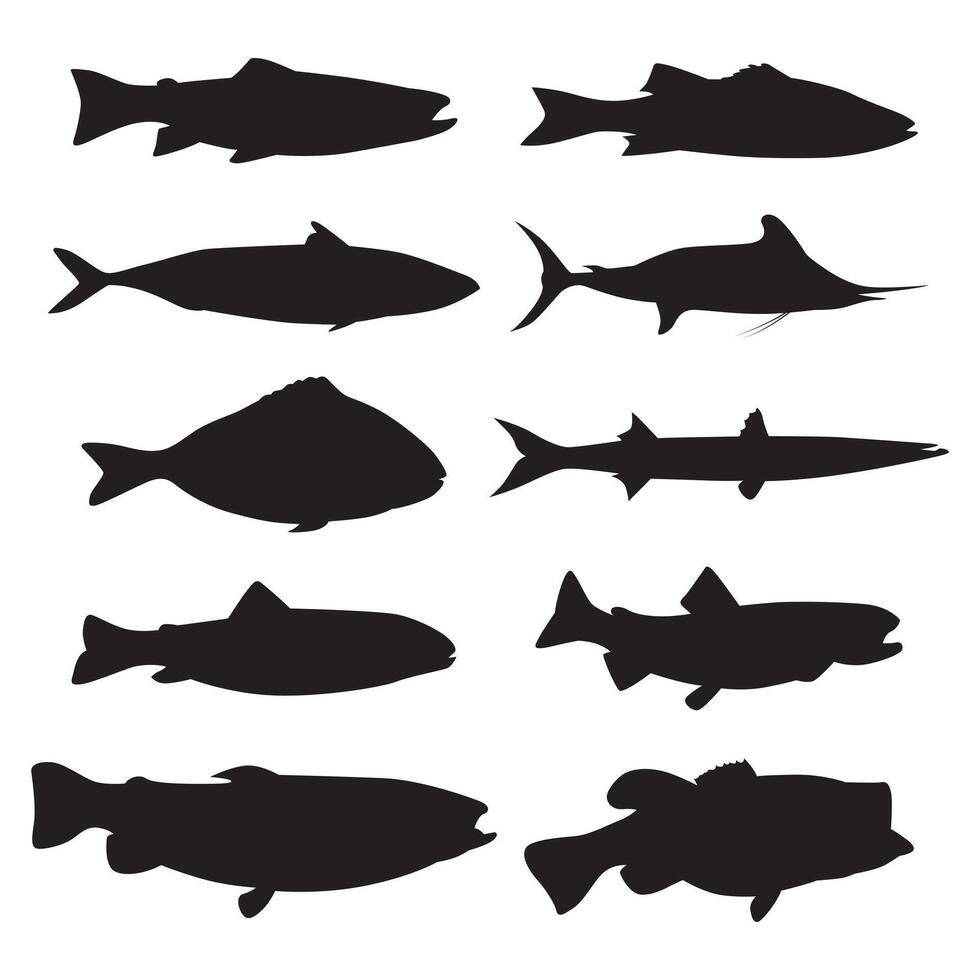 colección de pescado siluetas varios tipos vector