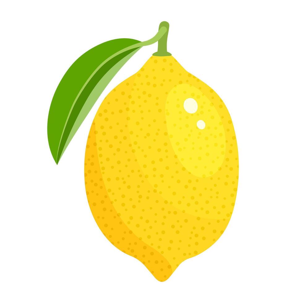 Lemon is a sunny fruit. Fresh juicy lemon with a leaf. Vitamin fruit vector