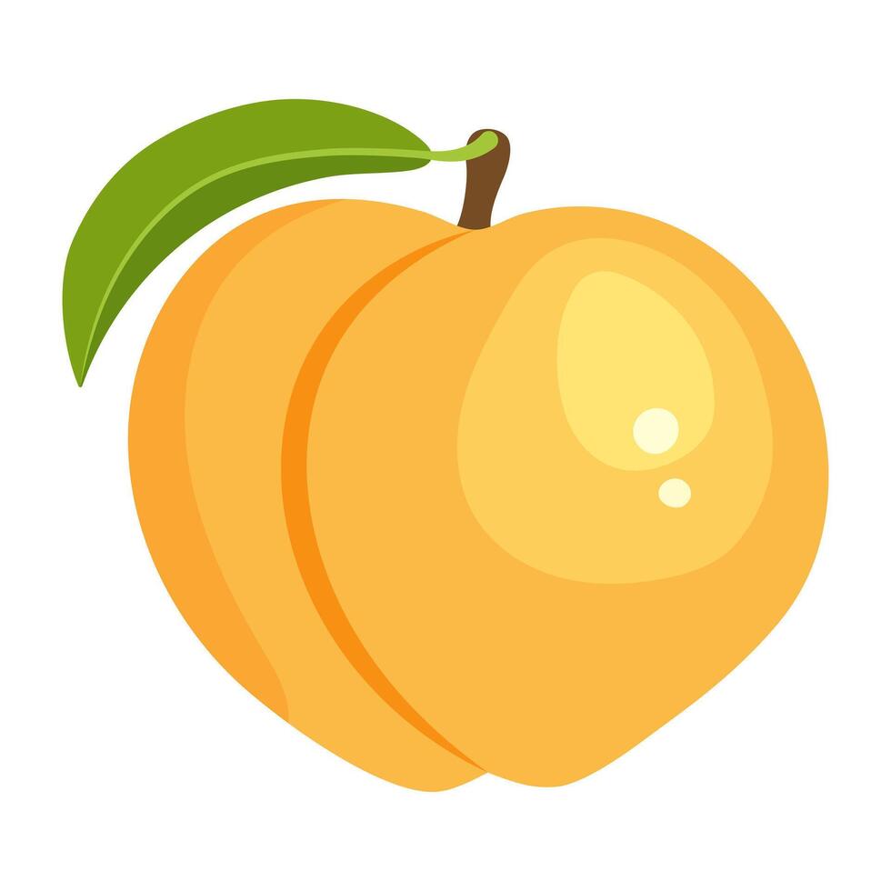 Peach is a sunny fruit. Fresh juicy peach with a leaf. Vitamin fruit vector