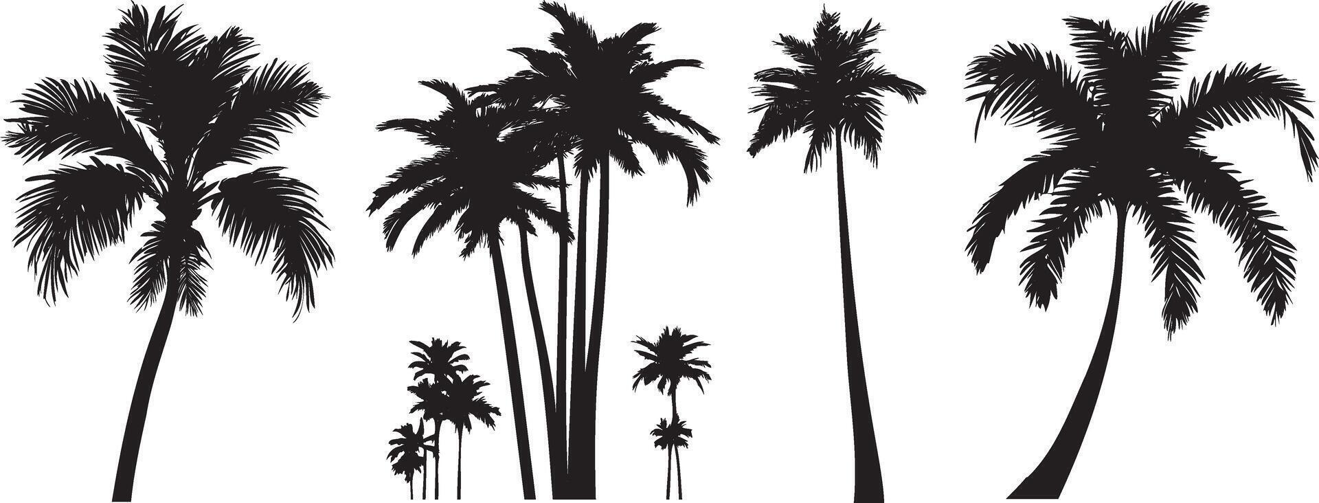 Black palm trees set isolated on white background. Palm silhouettes. Design of palm trees for posters, banners and promotional items. Vector illustration