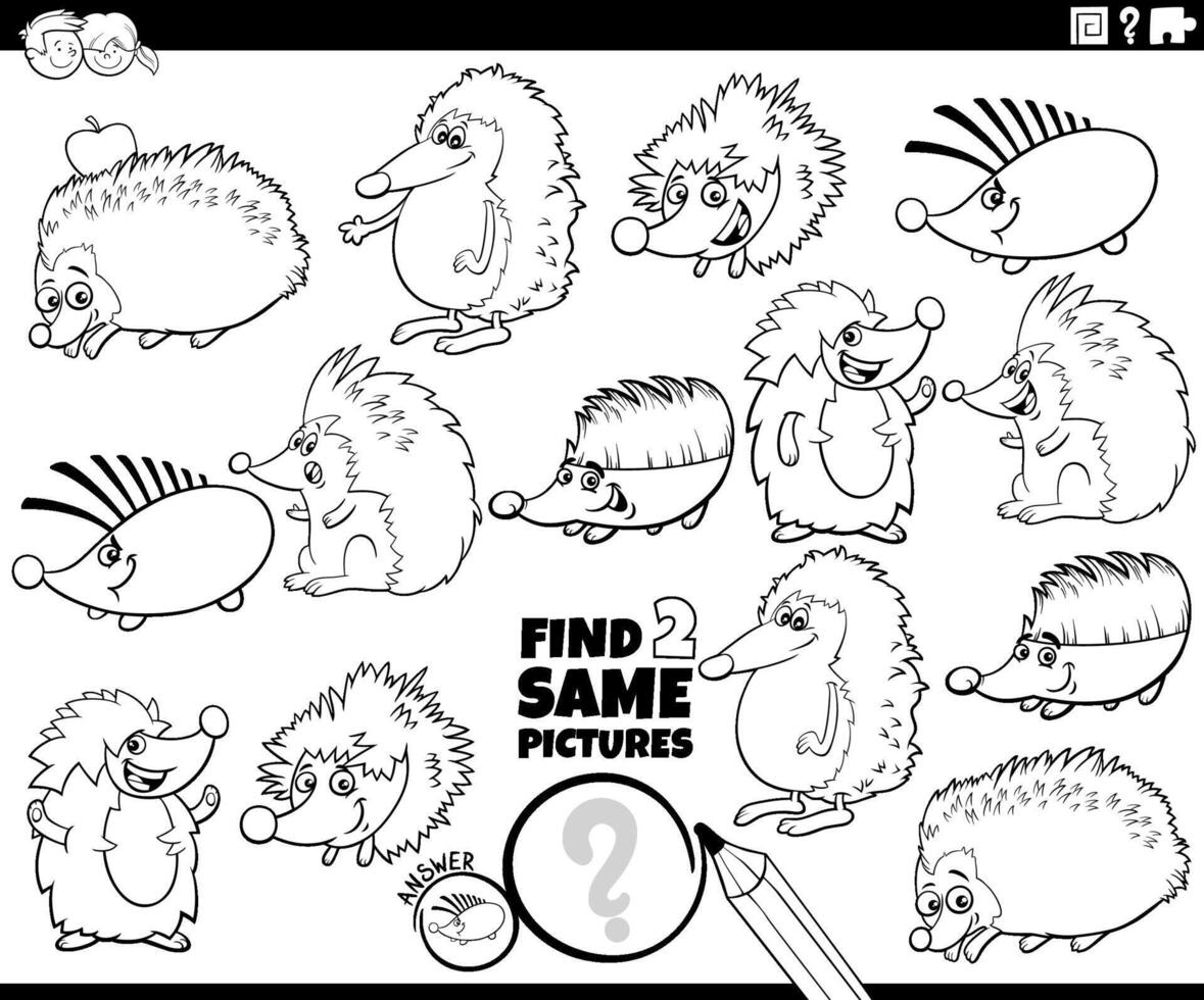 find two same cartoon hedgehogs activity coloring page vector