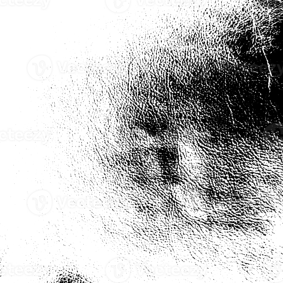 Rustic grunge texture with grain and stains. Abstract noise background. PNG graphic illustration with transparent background.