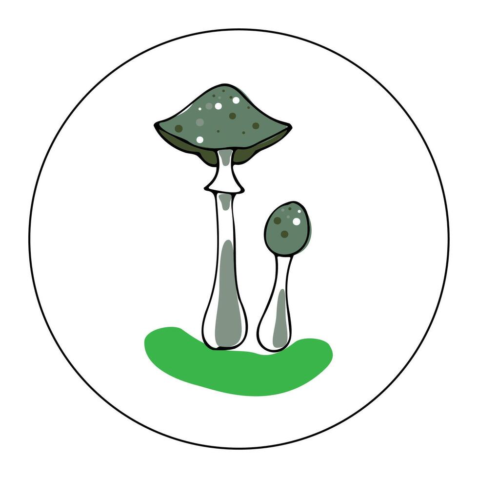 Hand drawn vector color illustration in cartoon style. Linear drawing of colored toadstools in a circle on a white background.