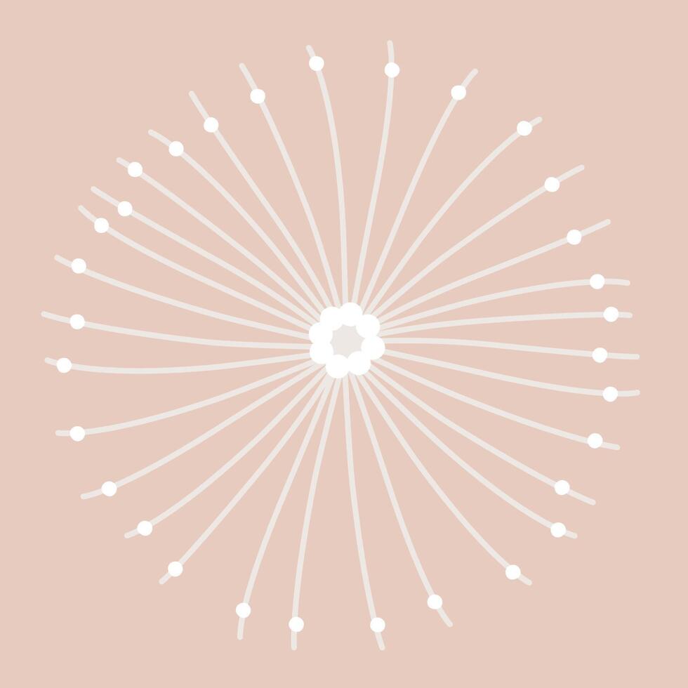 Abstract fluffy dandelion vector