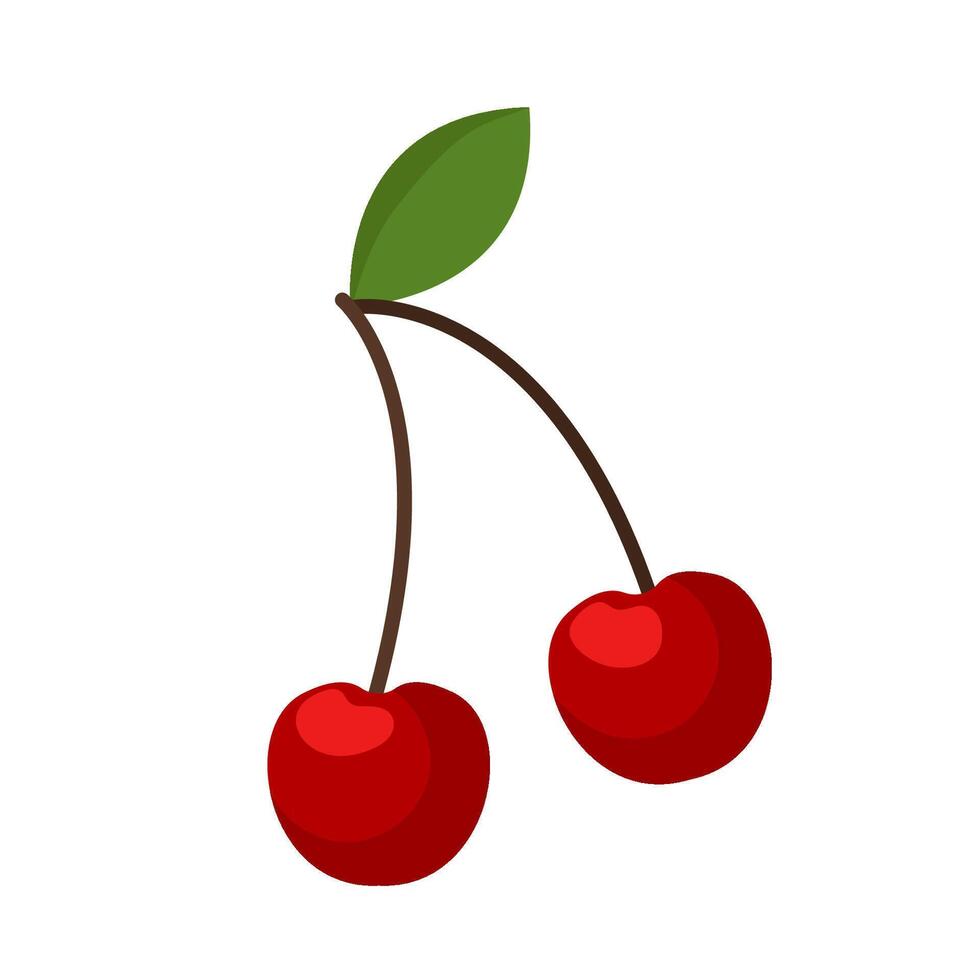 Vector cherry illustration. Isolated on white background.