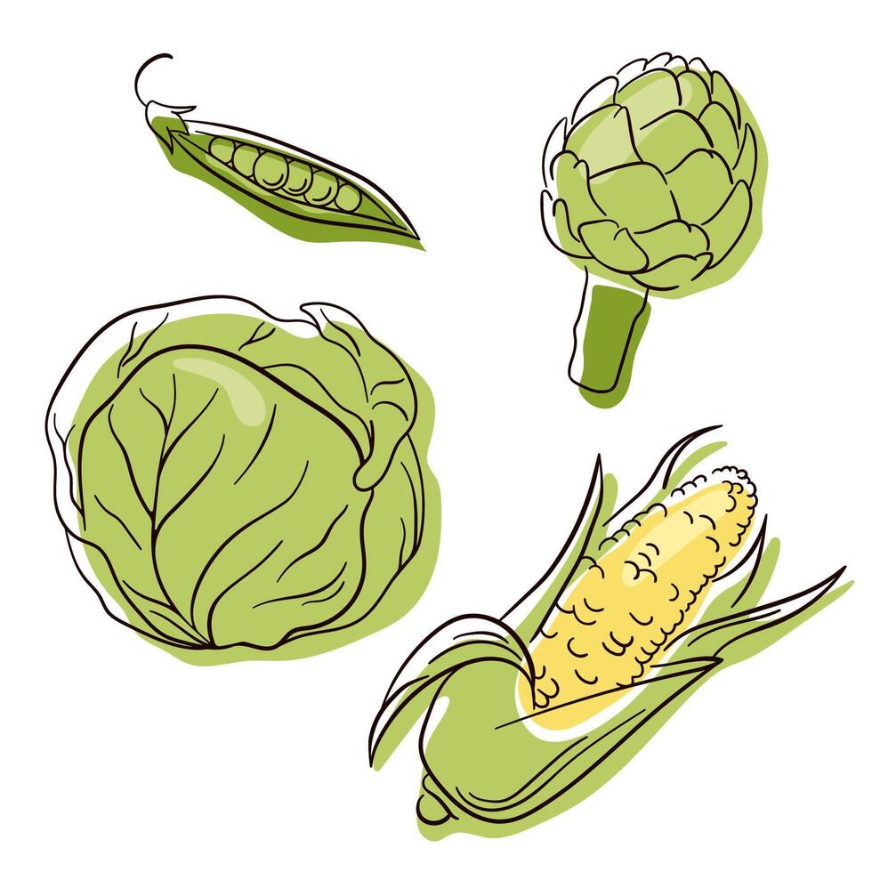 Vegetable set in line art style. Food collection for restaurants, menu, posters and grocery bags. Corn, cabbage, peas, artichoke. Vector illustration isolated on a white background.