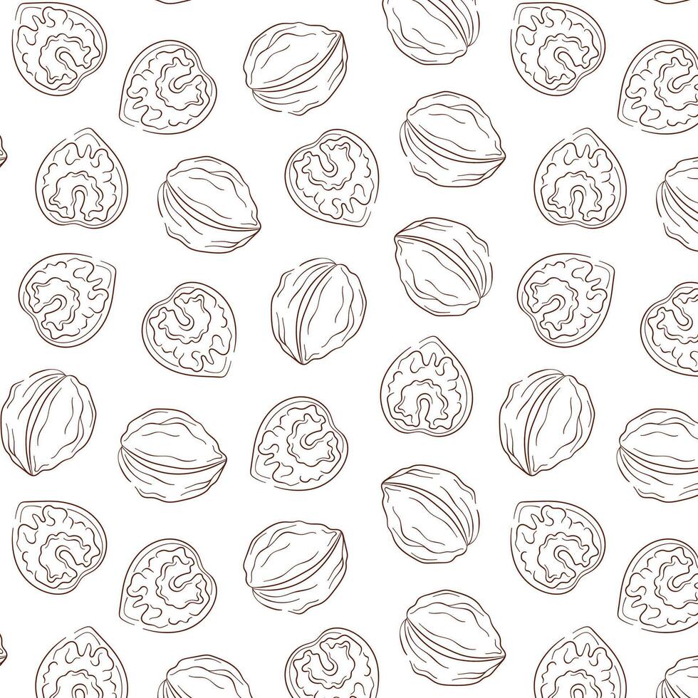 Walnut line art style pattern. Hand drawn nuts illustration for print, fabric, textile, wrapping, menu, food store. Vector illustration on a white background.