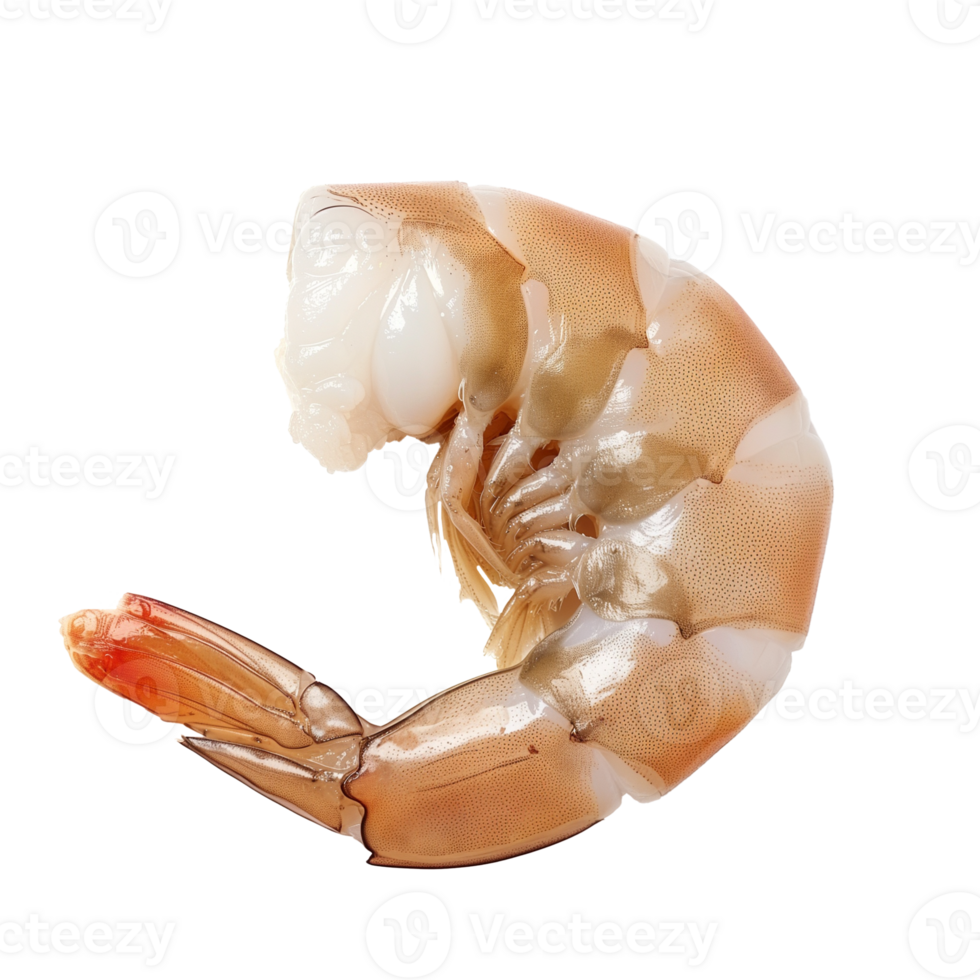 AI generated Raw shrimp Isolated on transparent background png