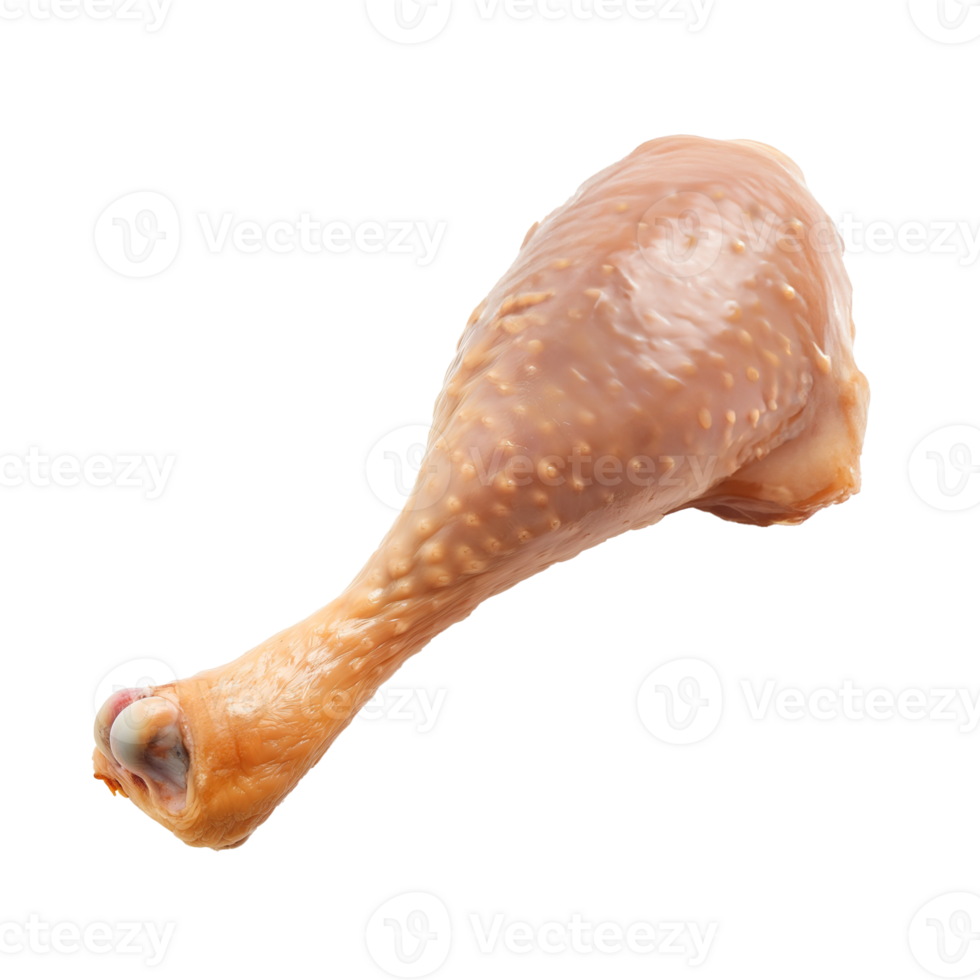 AI generated Goose Drumstick   Isolated on transparent background png