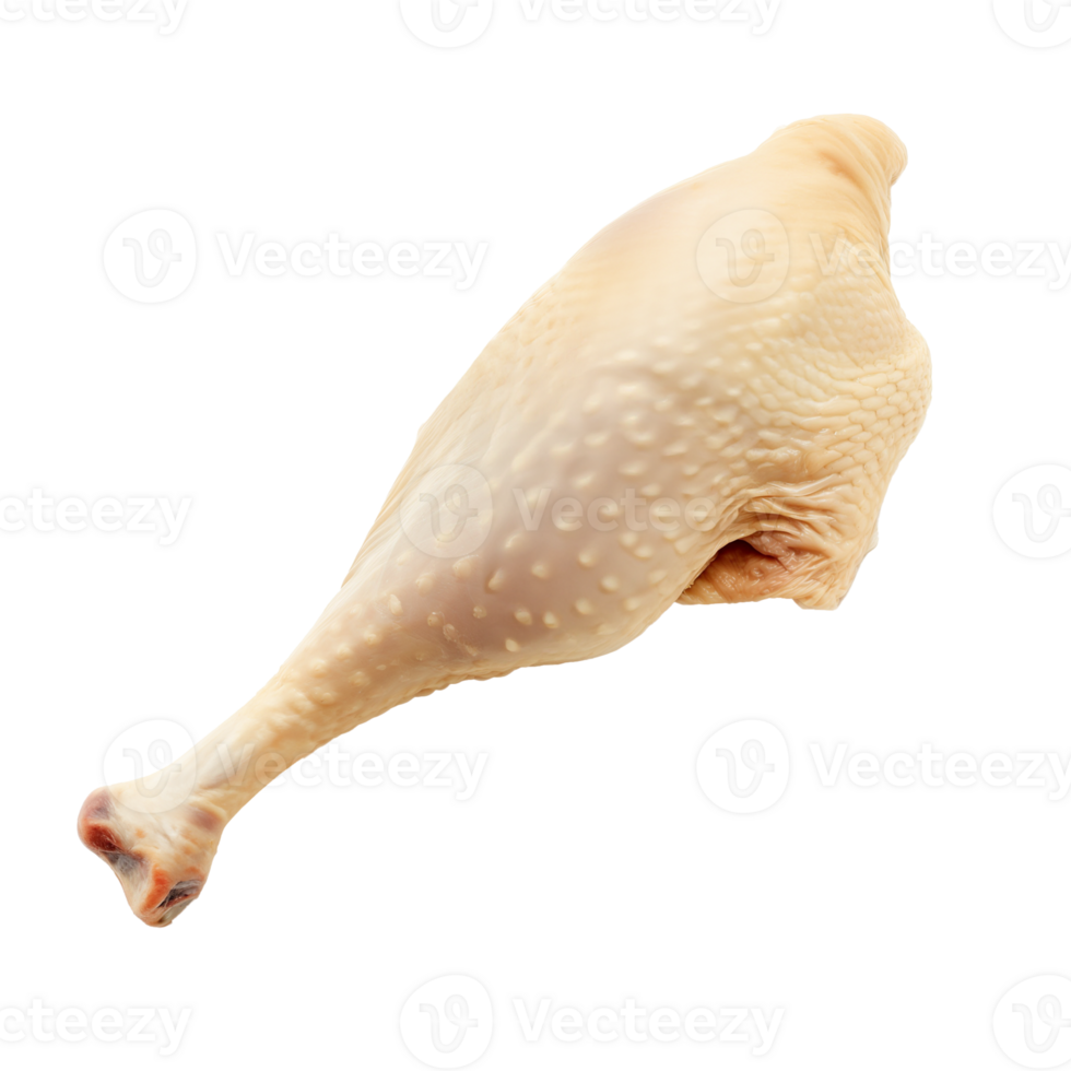 AI generated Goose Leg   Isolated on transparent background png