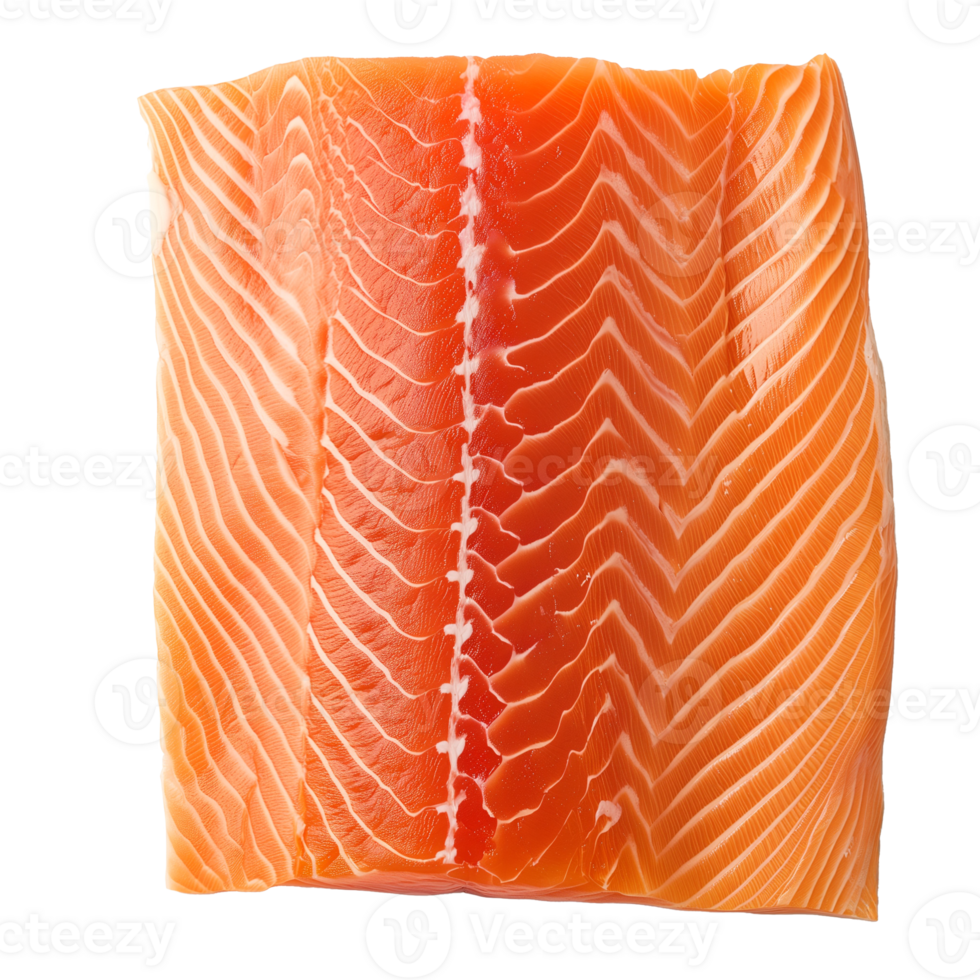 AI generated Salmon Frame   Isolated on transparent background png