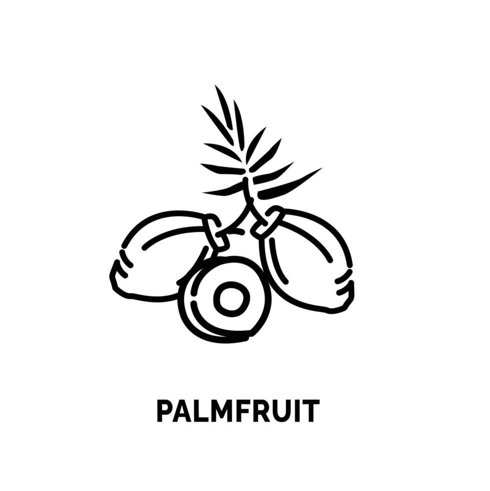 arte lineal fruto de la palma logo ilustración adecuado para Fruta tienda y Fruta granja vector
