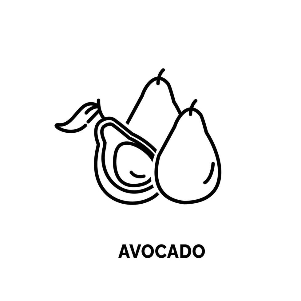 lineart avocado logo illustration suitable for fruit shop and fruit farm vector