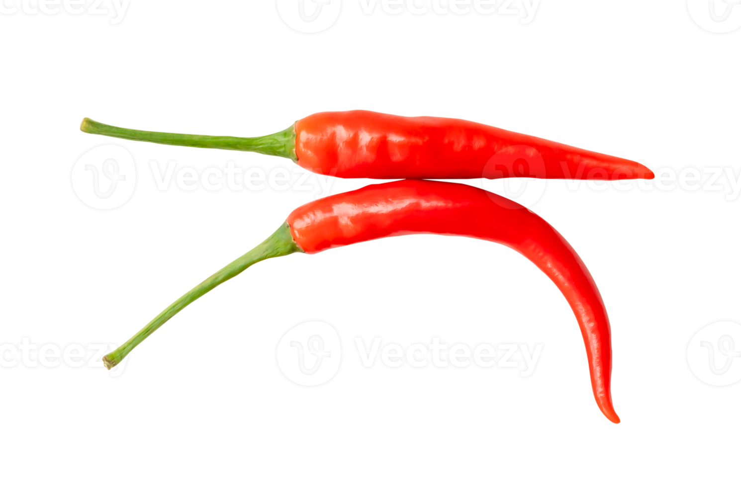 Top view of fresh red chili peppers isolated with clipping path in png file format