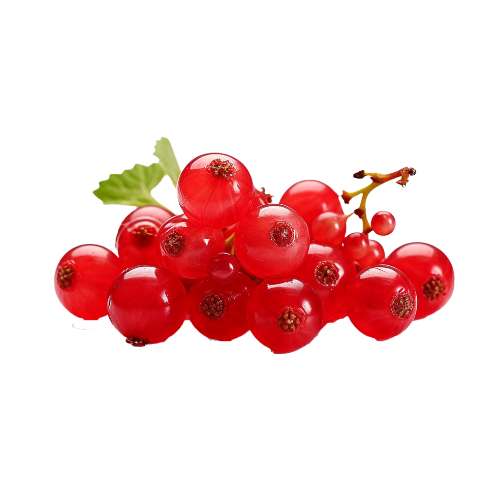 AI generated Redcurrant fruit png isolated on transparent background