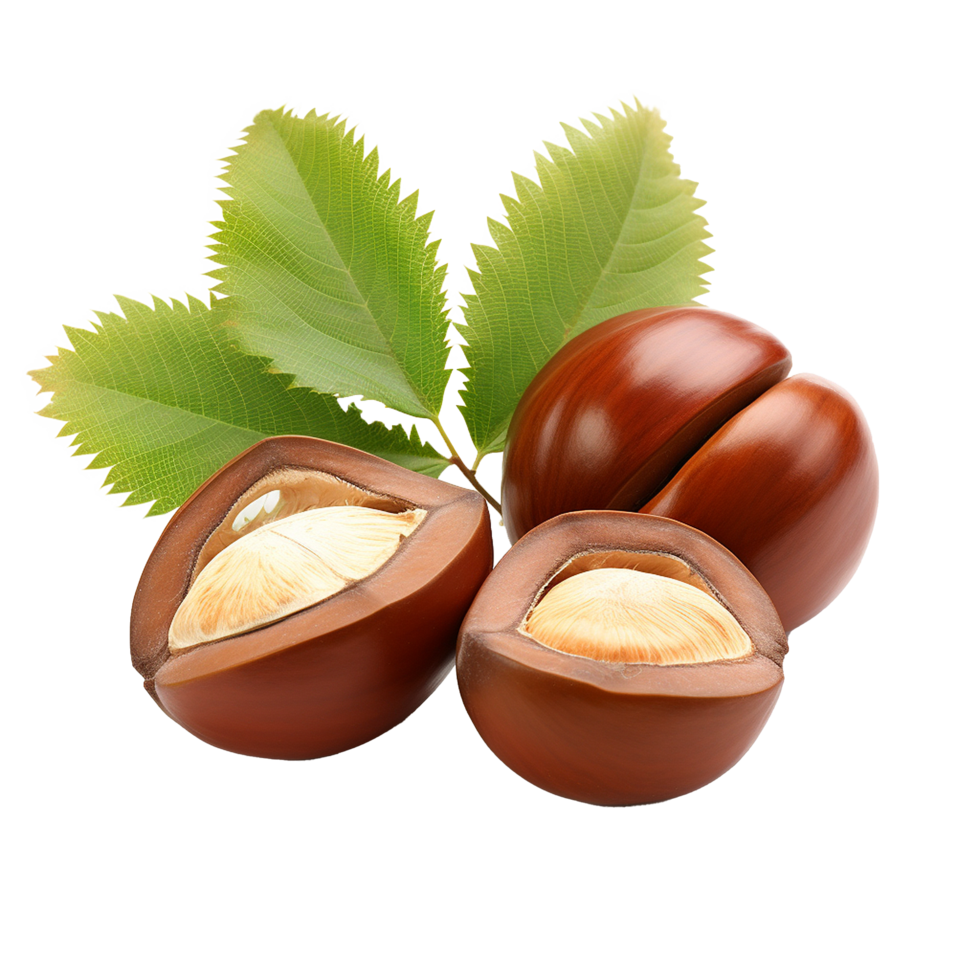 AI generated Tongan chestnut fruit png isolated on transparent background