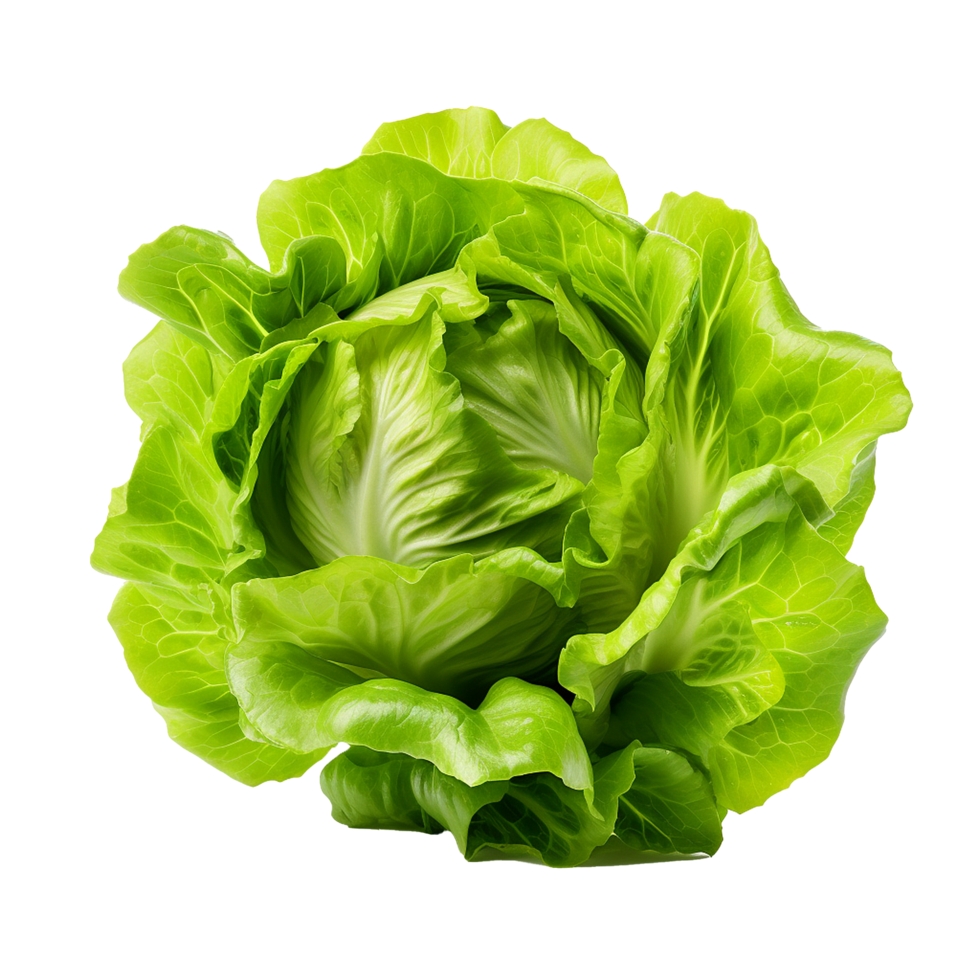 AI generated Head of butterhead lettuce png isolated on transparent background