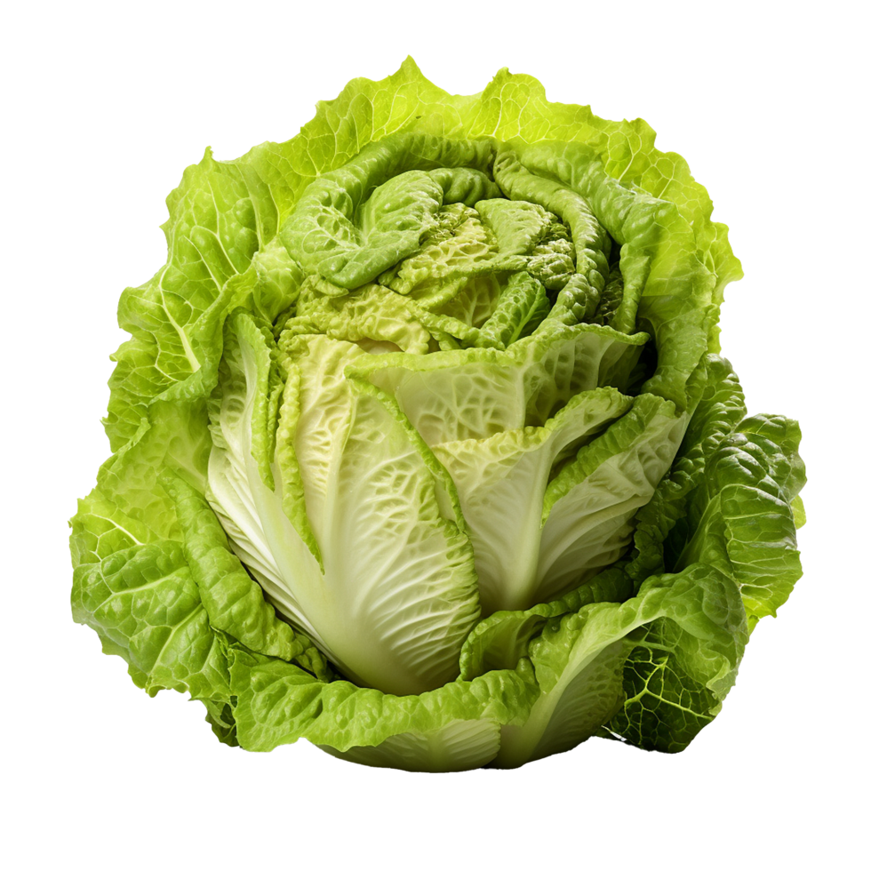 AI generated Head of butterhead lettuce png isolated on transparent