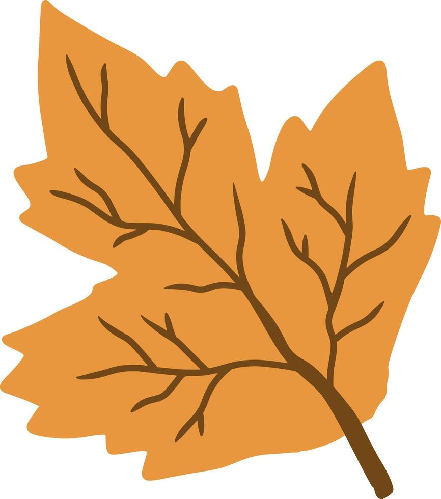 An autumn leaf illustration vector